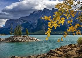 MySql怎么批量删除多个表