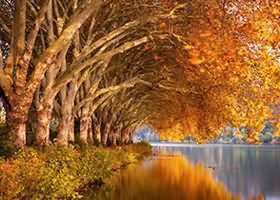 云南中老铁路旅行攻略