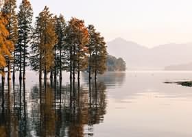 MySql怎么批量删除多个表